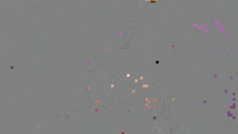 25355